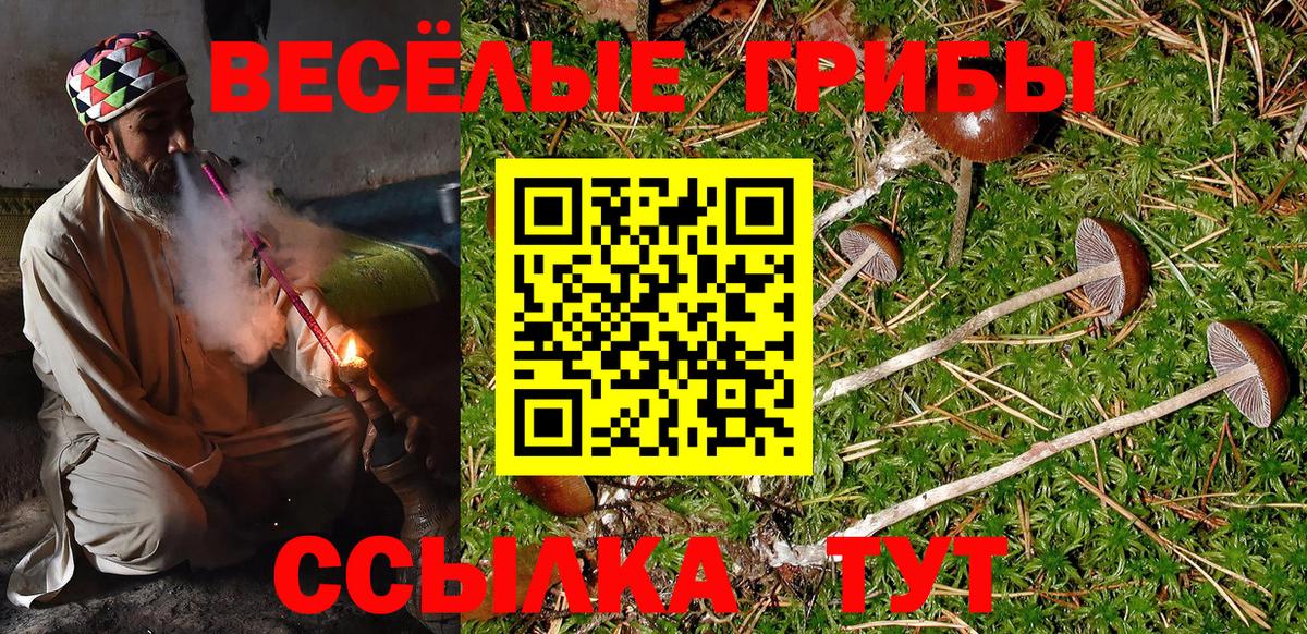 дарнет шоп  Псилоцибиновые грибы Cubensis  Вход с VPN  Наро-Фоминск 